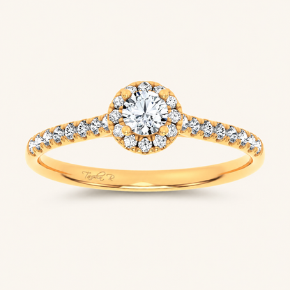 0.4CT Round Cut Certified Lab Grown Diamond Promise Halo Ring